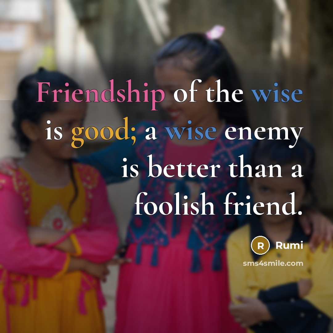 “Friendship of the wise is good; a wise enemy is better than a foolish friend.” quote by Rumi