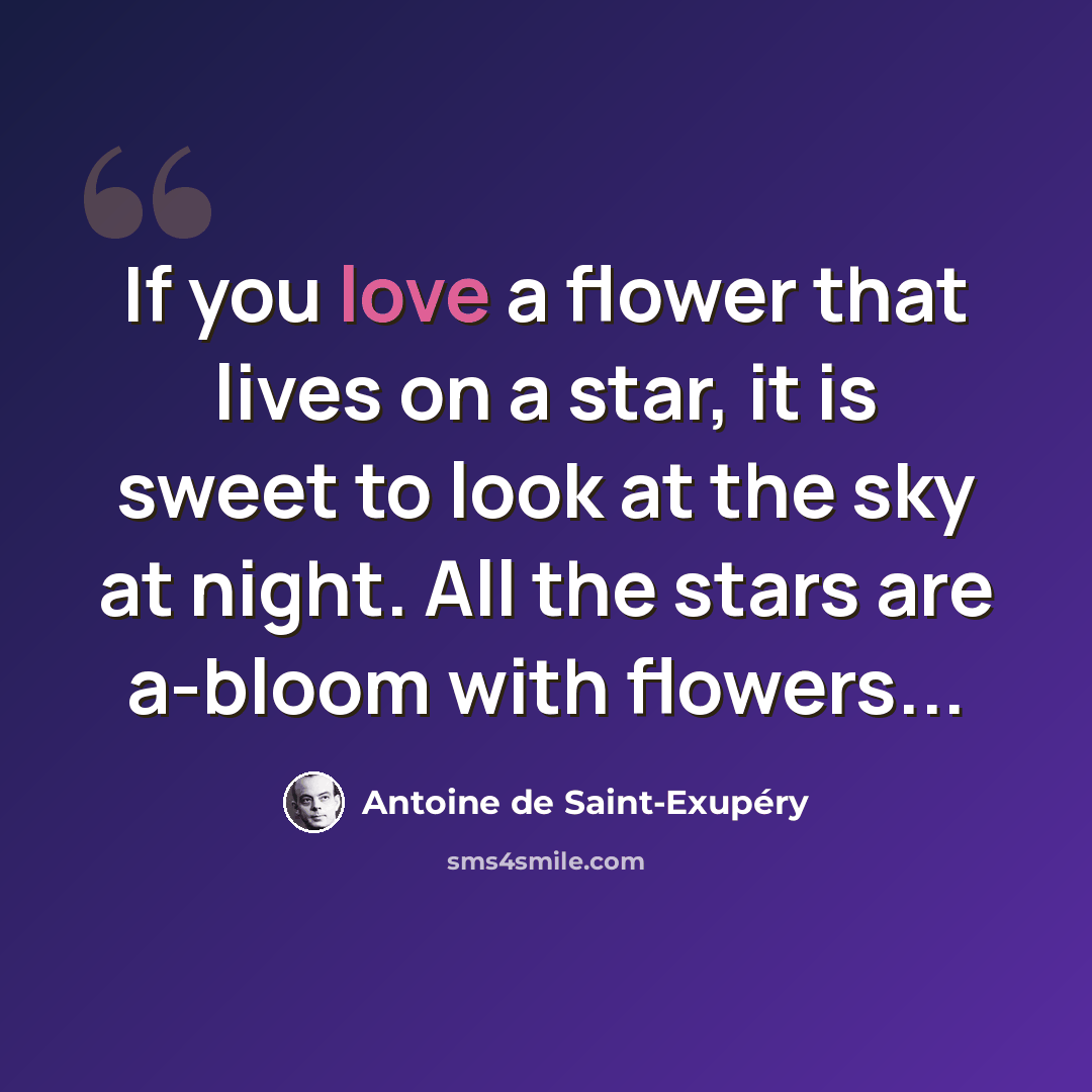 “If you love a flower that lives on a star, it is sweet to look at the sky at night. All the stars are a-bloom with flowers...” quote by Antoine de Saint-Exupery