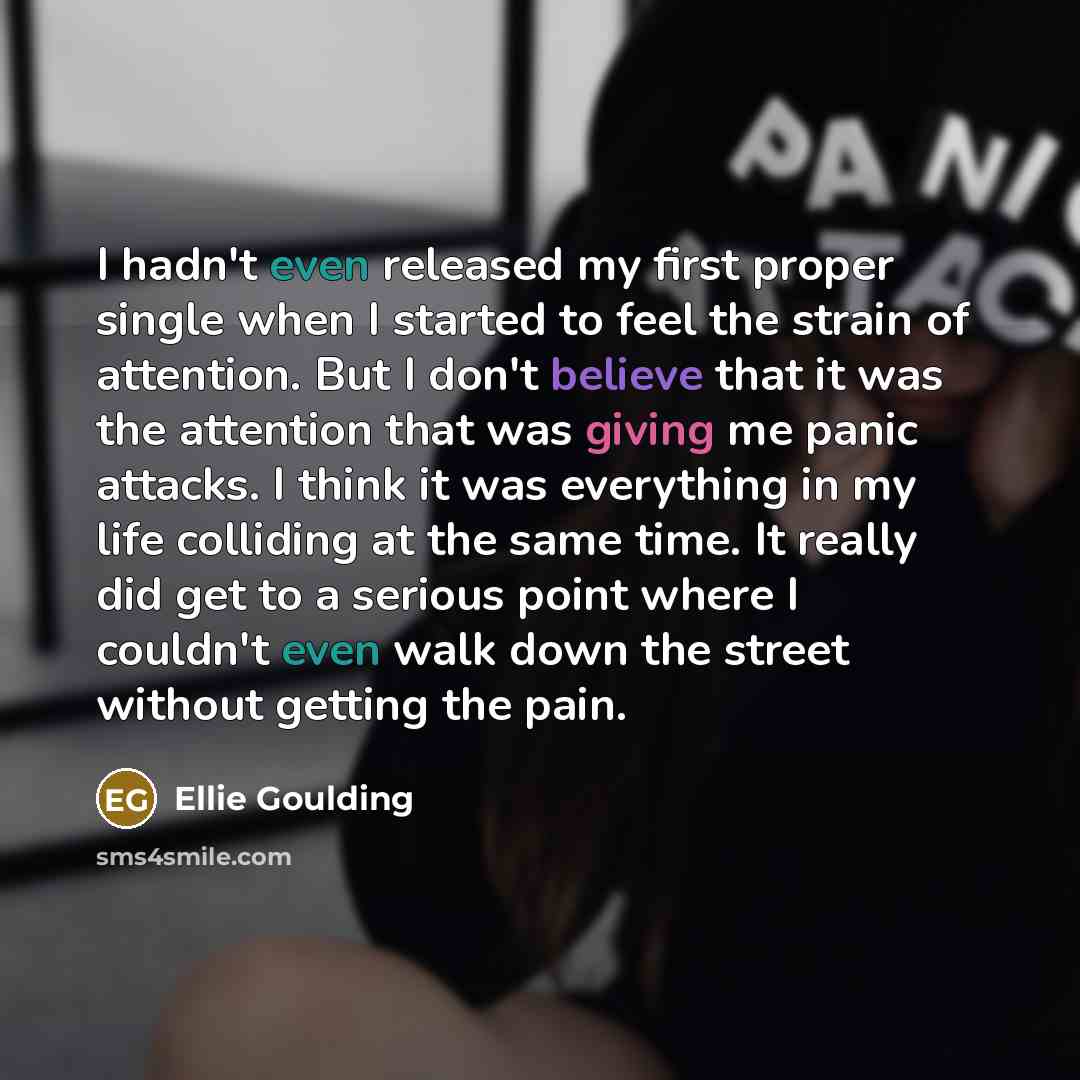“I hadn't even released my first proper single when I started to feel the strain of attention. But I don't believe that it was the attention that was giving me panic attacks. I think it was everything in my life colliding at the same time. It really did get to a serious point where I couldn't even…” quote by Ellie Goulding