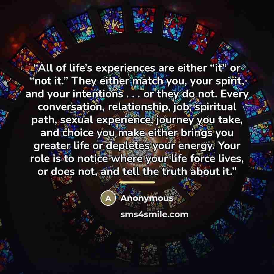 “All of life’s experiences are either “it” or “not it.” They either match you, your spirit, and your intentions . . . or they do not. Every conversation, relationship, job, spiritual path, sexual experience, journey you take, and choice you make either brings you greater life or depletes your…” quote by Anonymous
