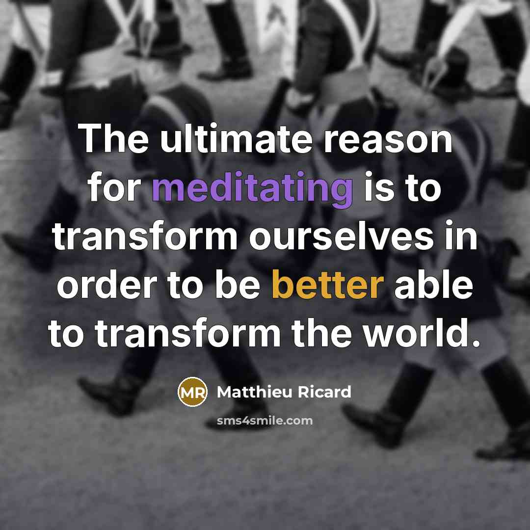 “The ultimate reason for meditating is to transform ourselves in order to be better able to transform the world.” quote by Matthieu Ricard