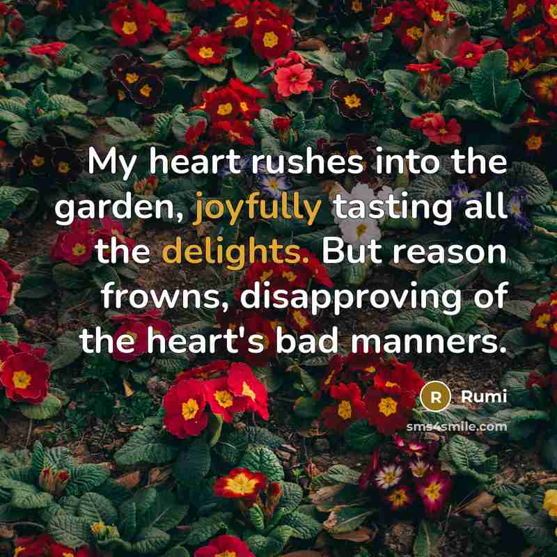 “My heart rushes into the garden, joyfully tasting all the delights. But reason frowns, disapproving of the heart's bad manners.” quote by Rumi