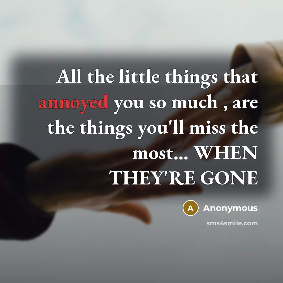 “All the little things that annoyed you so much , are the things you'll miss the most... WHEN THEY'RE GONE” quote by Anonymous