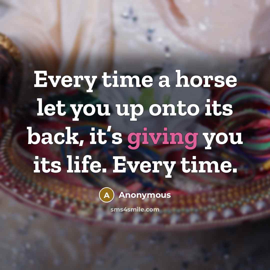 “Every time a horse let you up onto its back, it’s giving you its life. Every time.” quote by Anonymous