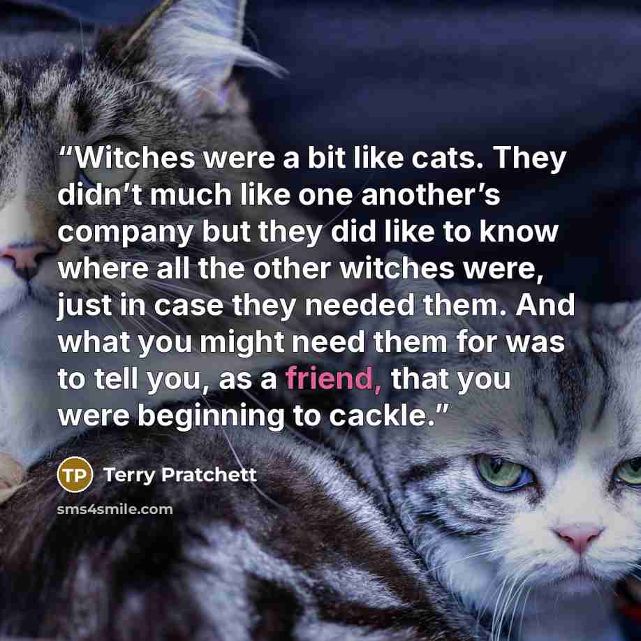 “Witches were a bit like cats. They didn’t much like one another’s company but they did like to know where all the other witches were, just in case they needed them. And what you might need them for was to tell you, as a friend, that you were beginning to cackle.” quote by Terry Pratchett