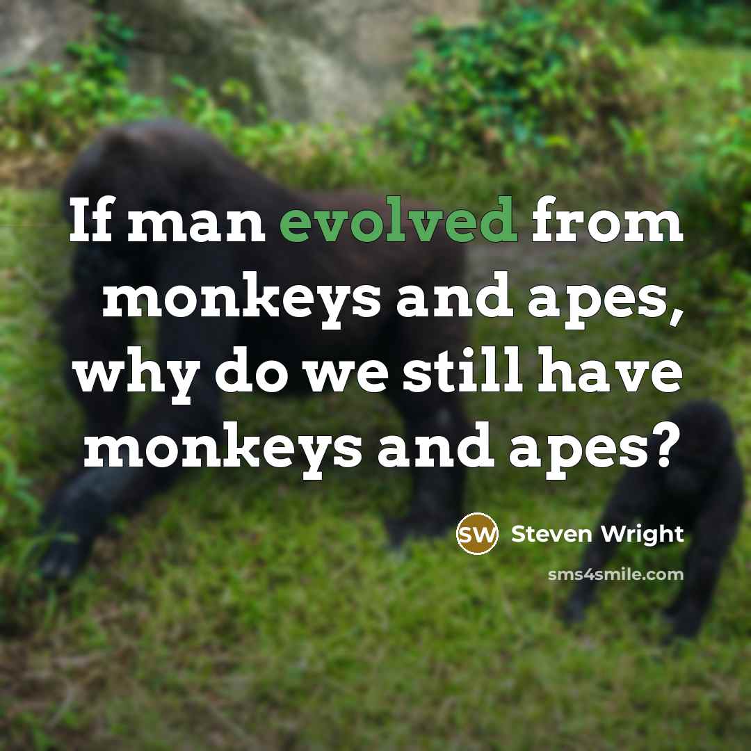 “If man evolved from monkeys and apes, why do we still have monkeys and apes?” quote by Steven Wright
