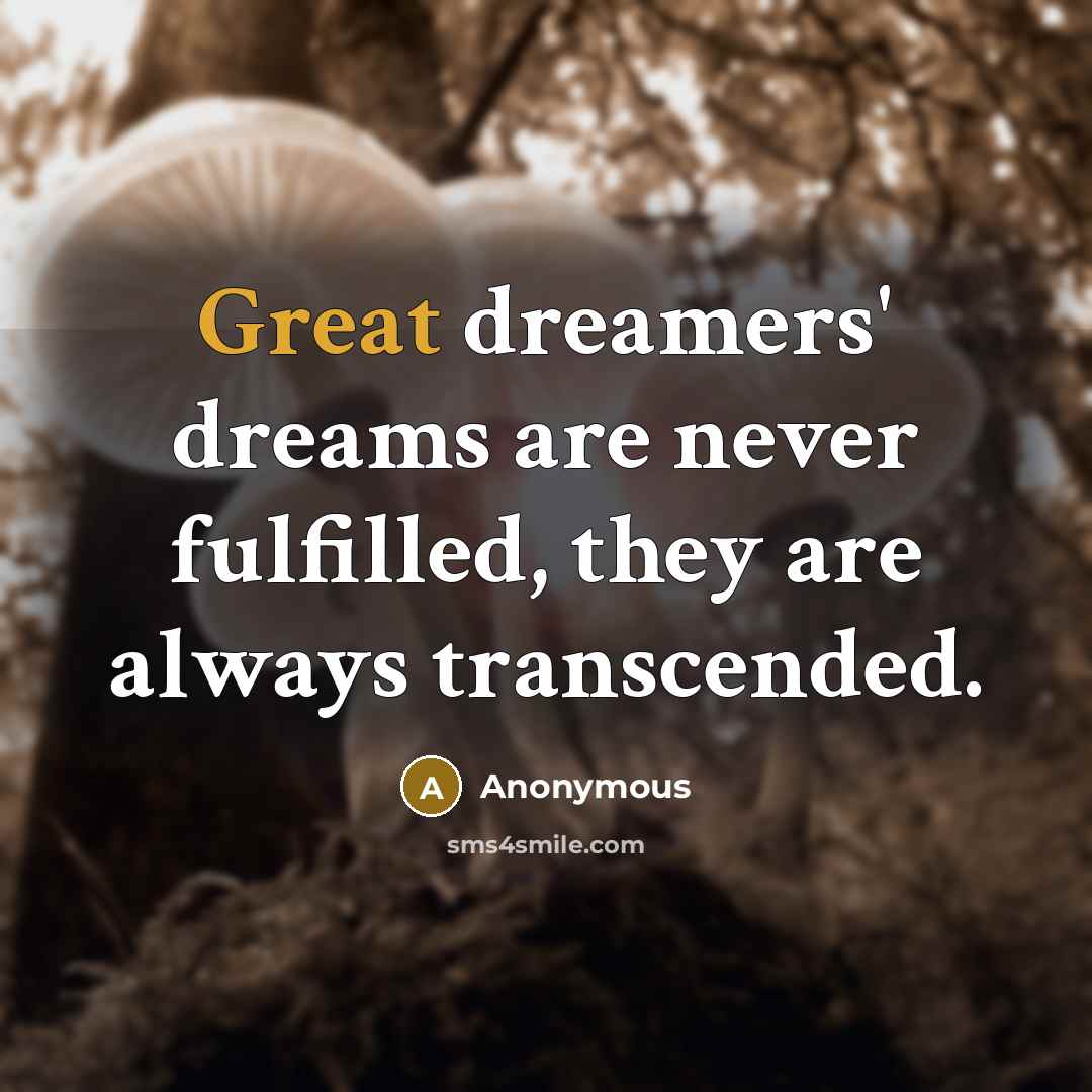 “Great dreamers' dreams are never fulfilled, they are always transcended.” quote by Anonymous