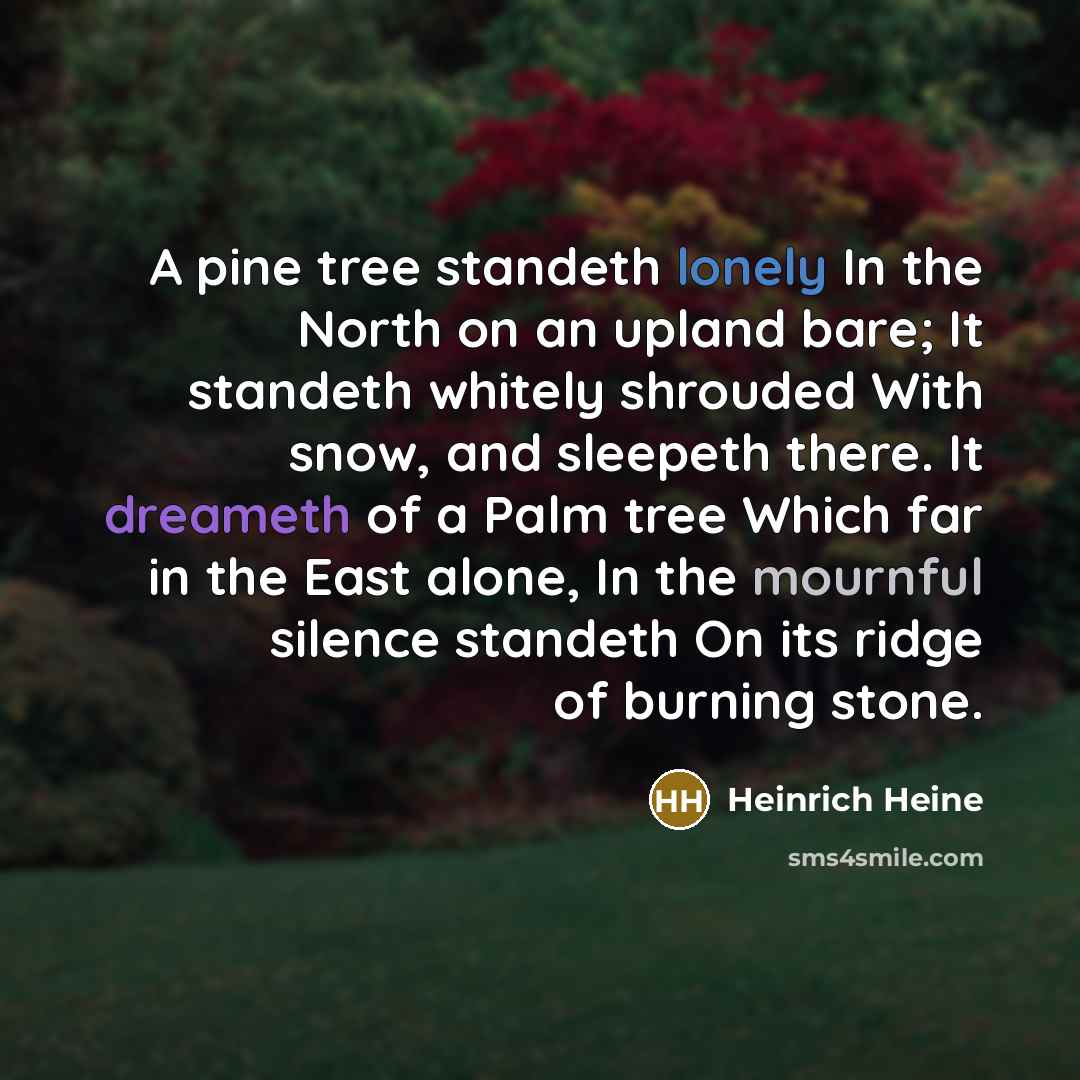 “A pine tree standeth lonely In the North on an upland bare; It standeth whitely shrouded With snow, and sleepeth there. It dreameth of a Palm tree Which far in the East alone, In the mournful silence standeth On its ridge of burning stone.” quote by Heinrich Heine