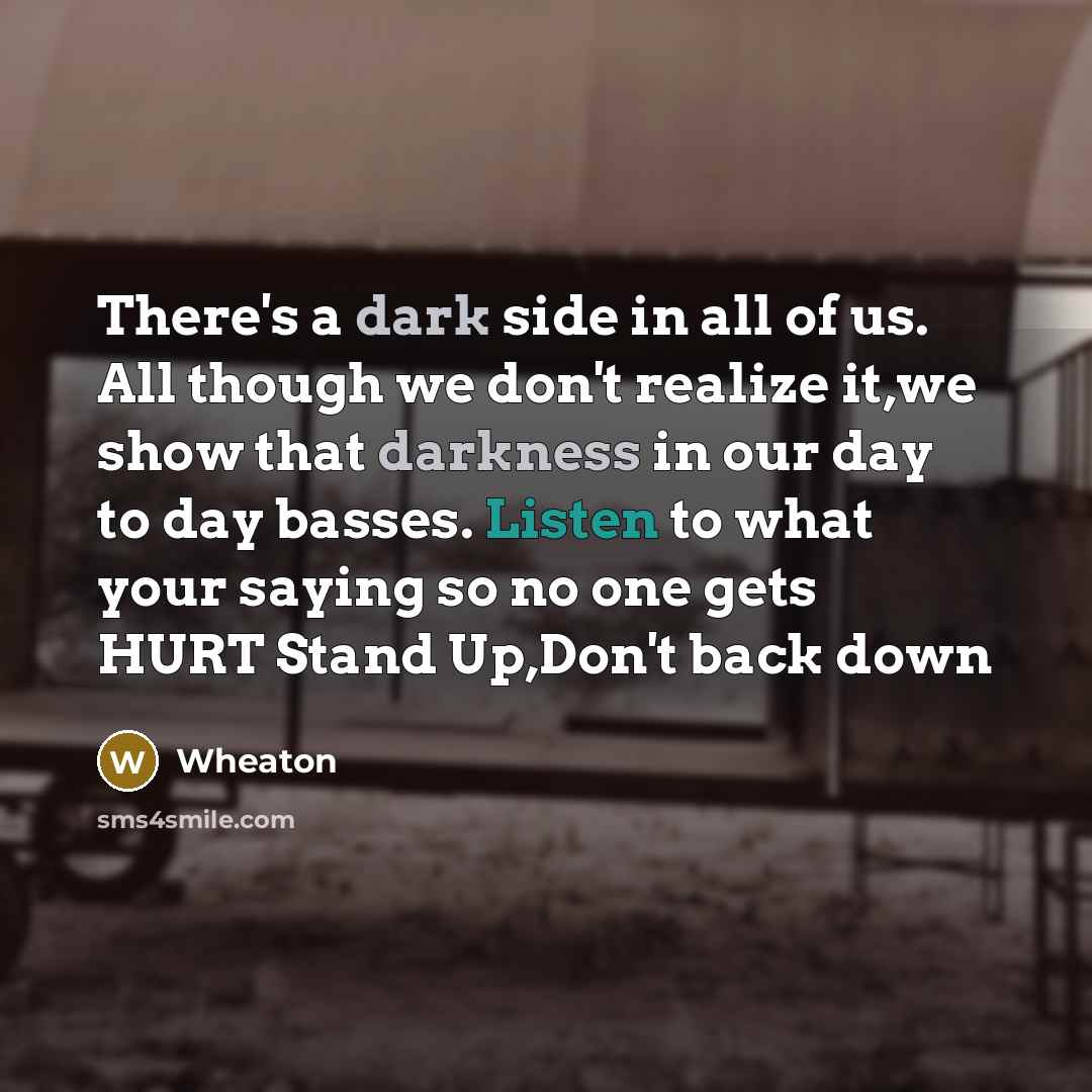 “There's a dark side in all of us. All though we don't realize it,we show that darkness in our day to day basses. Listen to what your saying so no one gets HURT Stand Up,Don't back down” quote by Wheaton
