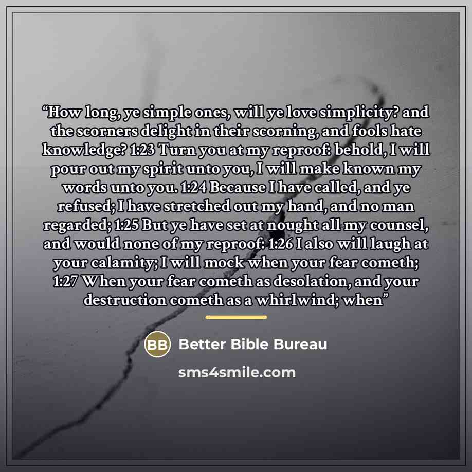 “How long, ye simple ones, will ye love simplicity? and the scorners delight in their scorning, and fools hate knowledge? 1:23 Turn you at my reproof: behold, I will pour out my spirit unto you, I will make known my words unto you. 1:24 Because I have called, and ye refused; I have stretched out my…” quote by Better Bible Bureau