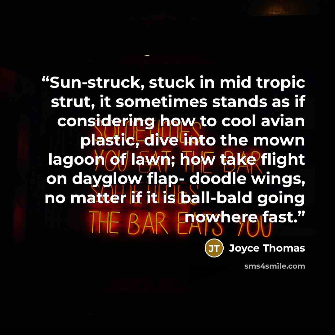 “Sun-struck, stuck in mid tropic strut, it sometimes stands as if considering how to cool avian plastic, dive into the mown lagoon of lawn; how take flight on dayglow flap- doodle wings, no matter if it is ball-bald going nowhere fast.” quote by Joyce Thomas