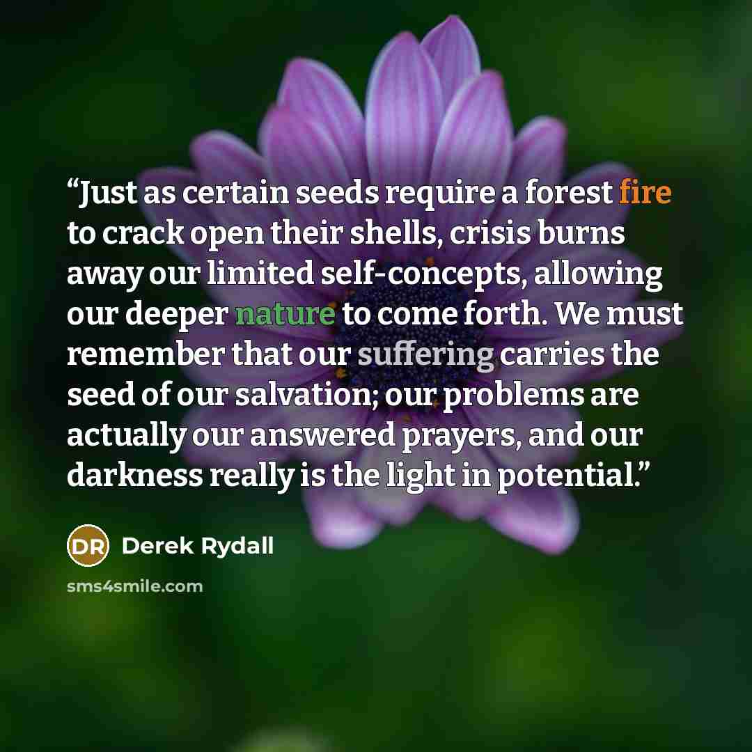 “Just as certain seeds require a forest fire to crack open their shells, crisis burns away our limited self-concepts, allowing our deeper nature to come forth. We must remember that our suffering carries the seed of our salvation; our problems are actually our answered prayers, and our darkness…” quote by Derek Rydall