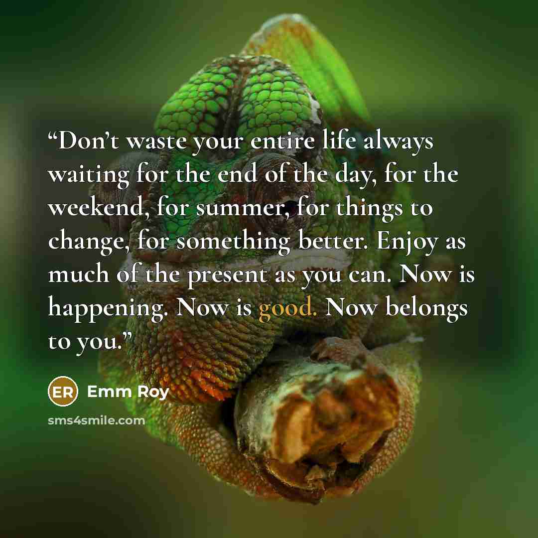 “Don’t waste your entire life always waiting for the end of the day, for the weekend, for summer, for things to change, for something better. Enjoy as much of the present as you can. Now is happening. Now is good. Now belongs to you.” quote by Emm Roy