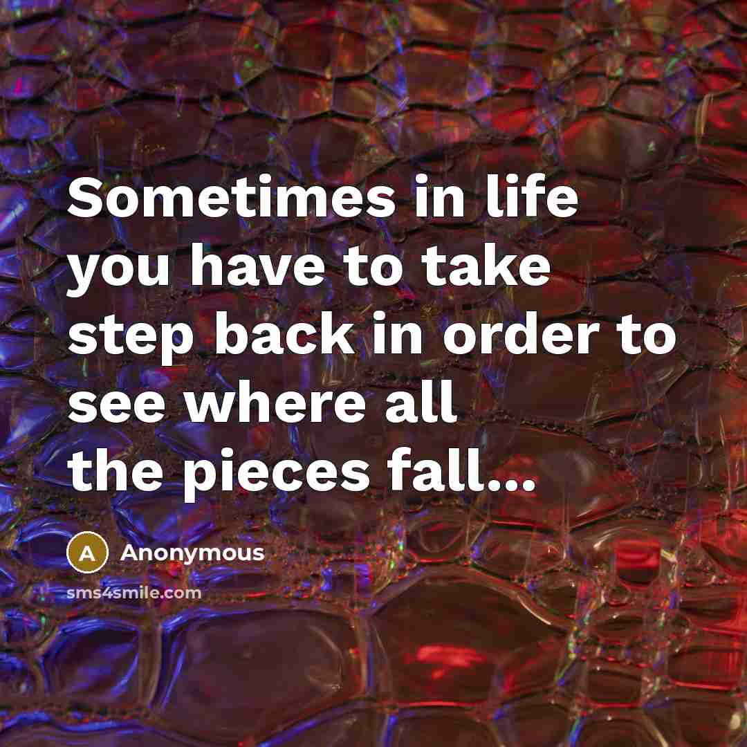 “Sometimes in life you have to take step back in order to see where all the pieces fall...” quote by Anonymous