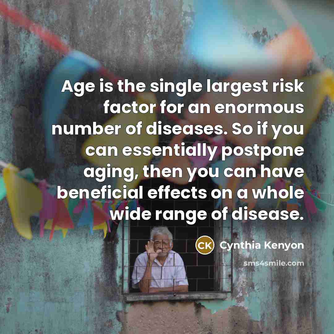 “Age is the single largest risk factor for an enormous number of diseases. So if you can essentially postpone aging, then you can have beneficial effects on a whole wide range of disease.” quote by Cynthia Kenyon