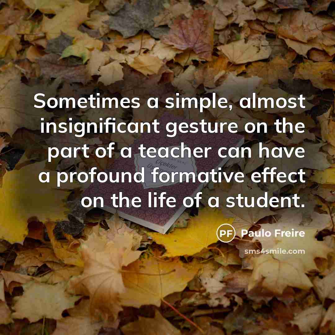 “Sometimes a simple, almost insignificant gesture on the part of a teacher can have a profound formative effect on the life of a student.” quote by Paulo Freire