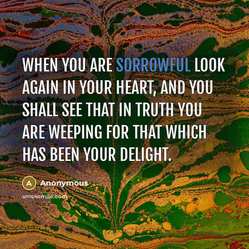 “When you are sorrowful look again in your heart, and you shall see that in truth you are weeping for that which has been your delight.” quote by Anonymous
