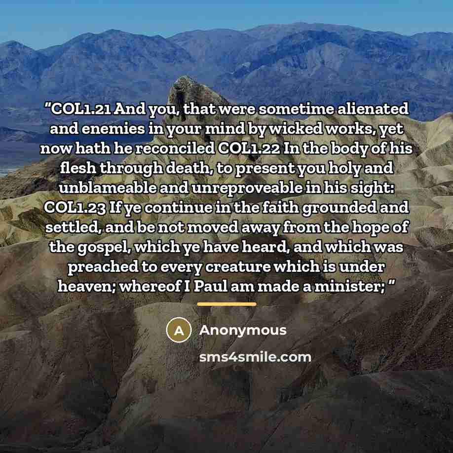 “COL1.21 And you, that were sometime alienated and enemies in your mind by wicked works, yet now hath he reconciled COL1.22 In the body of his flesh through death, to present you holy and unblameable and unreproveable in his sight: COL1.23 If ye continue in the faith grounded and settled, and be…” quote by Anonymous