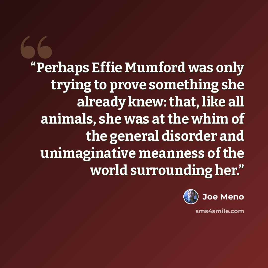 “Perhaps Effie Mumford was only trying to prove something she already knew: that, like all animals, she was at the whim of the general disorder and unimaginative meanness of the world surrounding her.” quote by Joe Meno