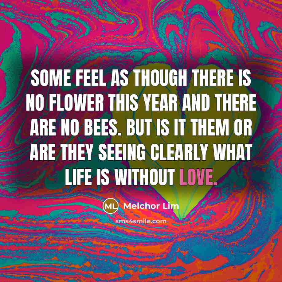 “Some feel as though there is no flower this year and there are no bees. But is it them or are they seeing clearly what life is without love.” quote by Melchor Lim