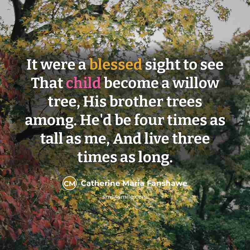“It were a blessed sight to see That child become a willow tree, His brother trees among. He'd be four times as tall as me, And live three times as long.” quote by Catherine Maria Fanshawe
