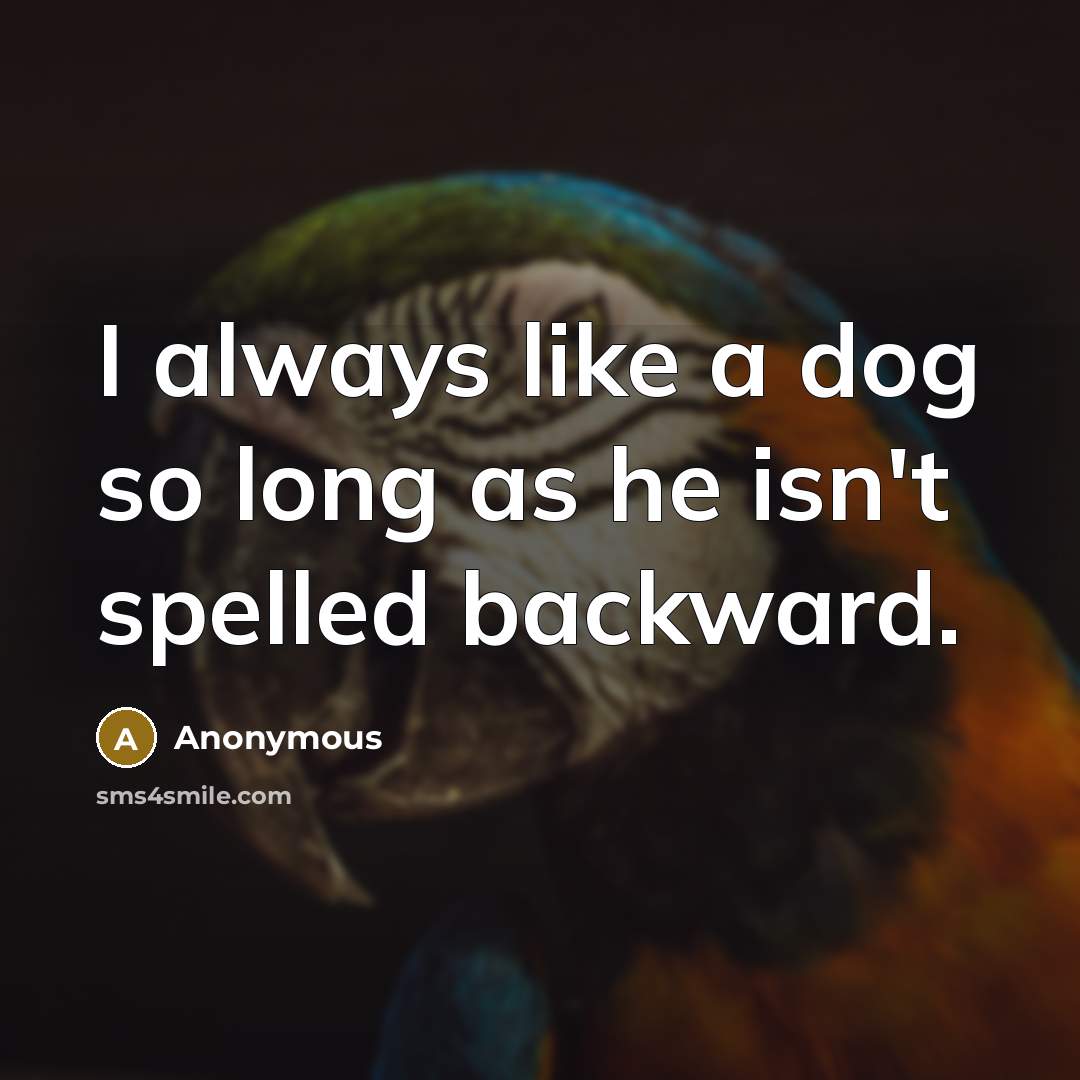 “I always like a dog so long as he isn't spelled backward.” quote by Anonymous