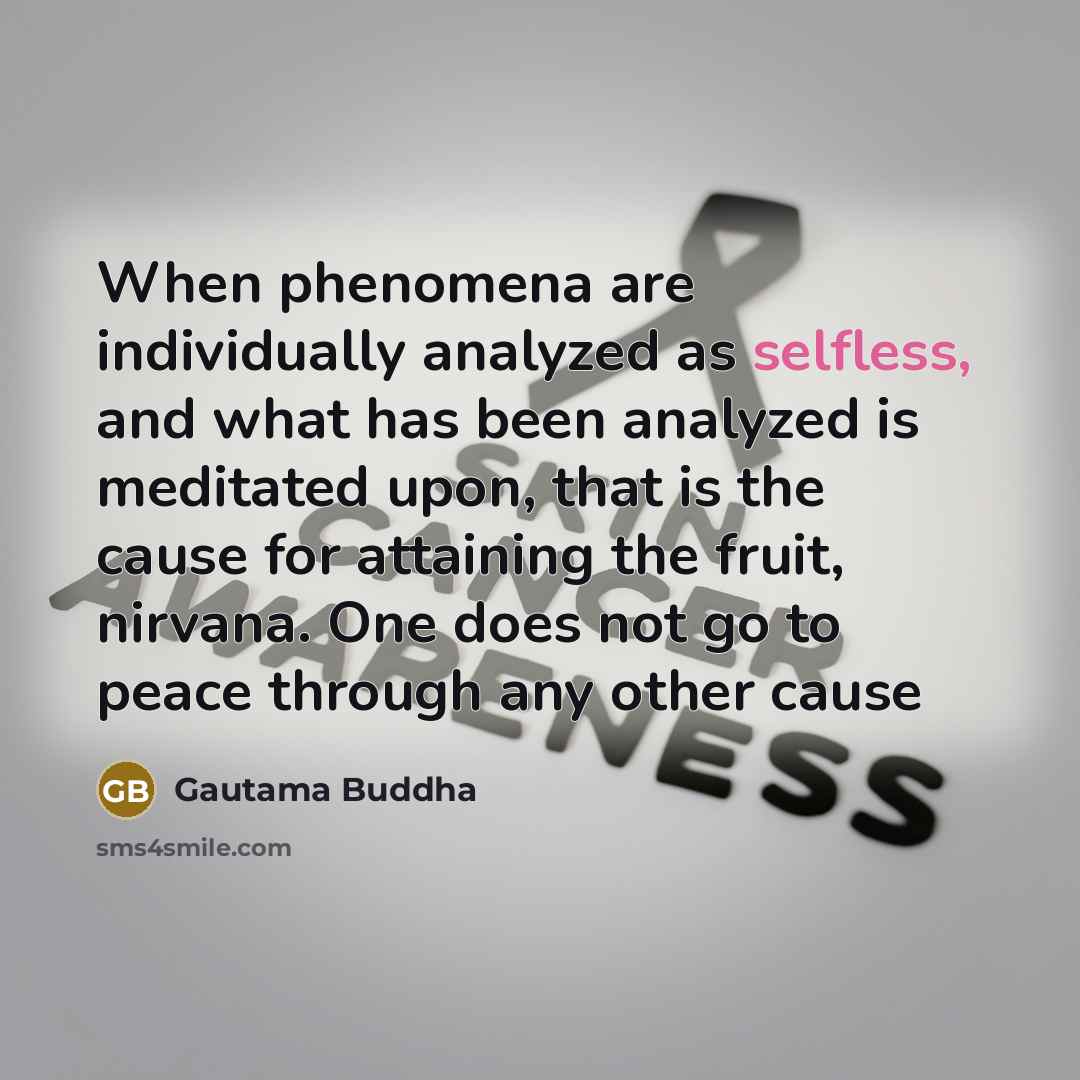 “When phenomena are individually analyzed as selfless, and what has been analyzed is meditated upon, that is the cause for attaining the fruit, nirvana. One does not go to peace through any other cause” quote by Gautama Buddha