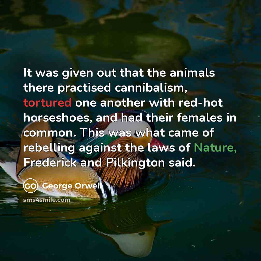“It was given out that the animals there practised cannibalism, tortured one another with red-hot horseshoes, and had their females in common. This was what came of rebelling against the laws of Nature, Frederick and Pilkington said.” quote by George Orwell