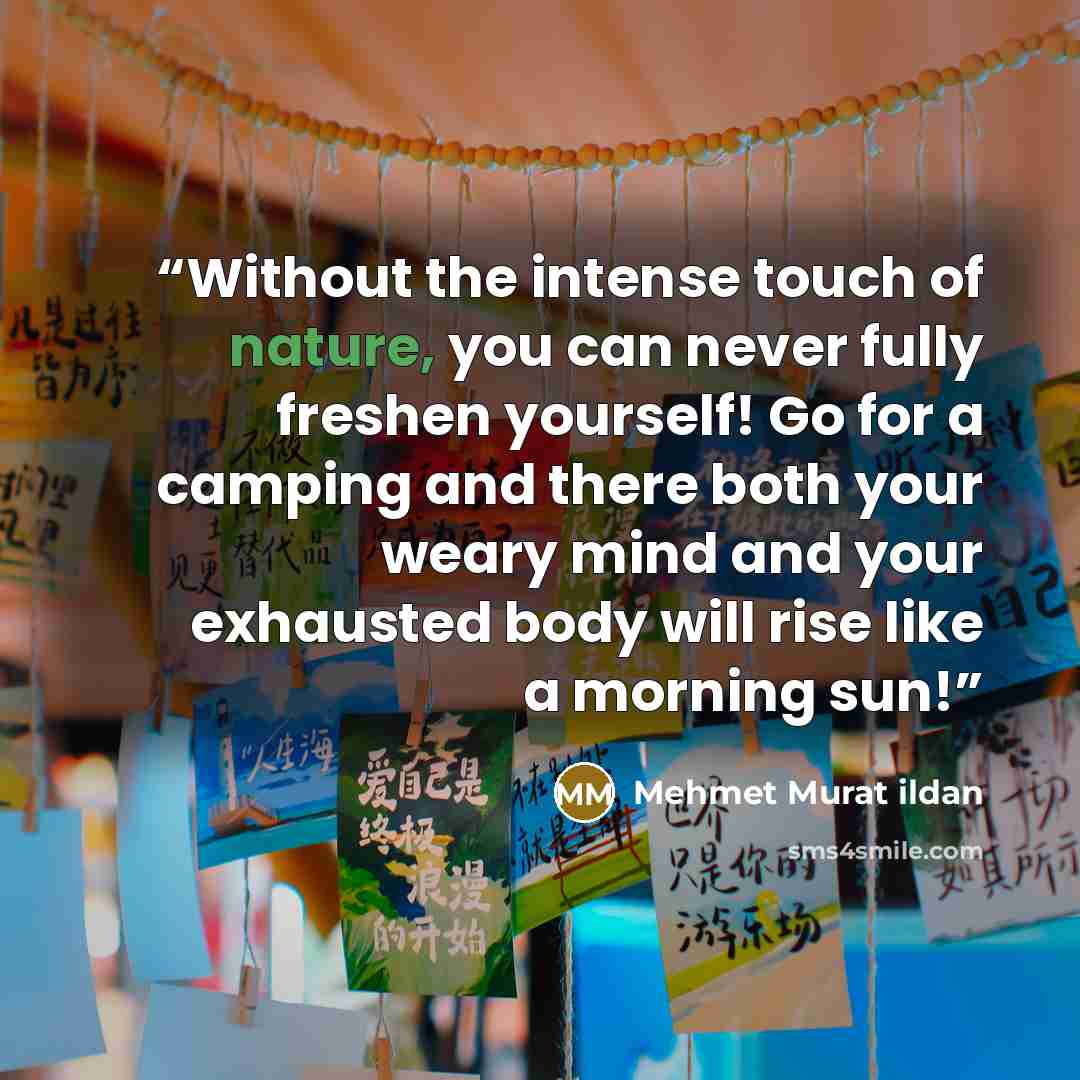 “Without the intense touch of nature, you can never fully freshen yourself! Go for a camping and there both your weary mind and your exhausted body will rise like a morning sun!” quote by Mehmet Murat ildan