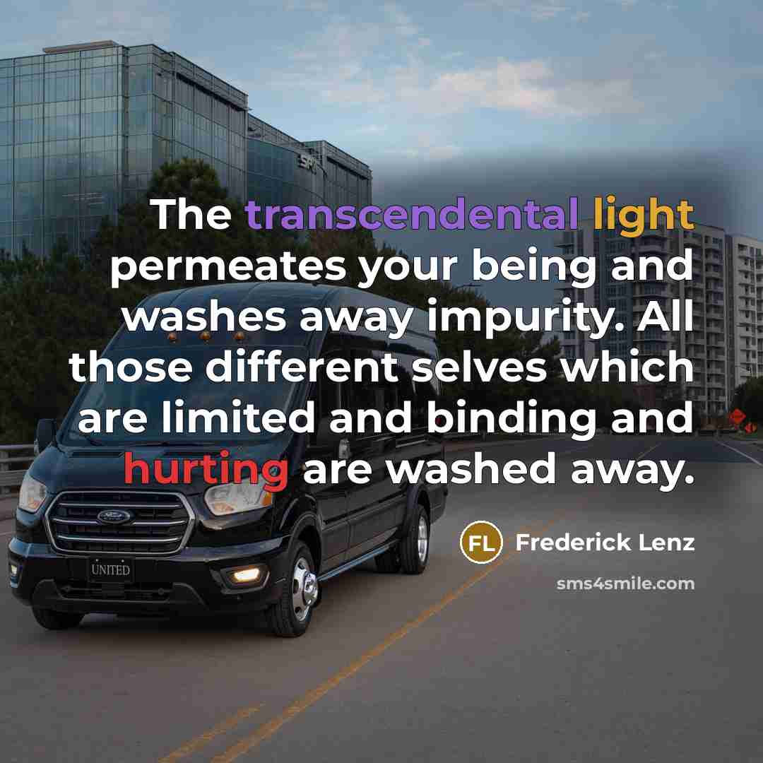 “The transcendental light permeates your being and washes away impurity. All those different selves which are limited and binding and hurting are washed away.” quote by Frederick Lenz