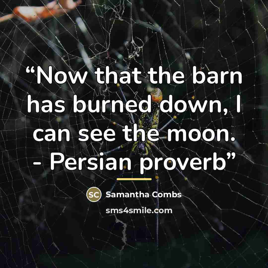 “Now that the barn has burned down, I can see the moon. - Persian proverb” quote by Samantha Combs