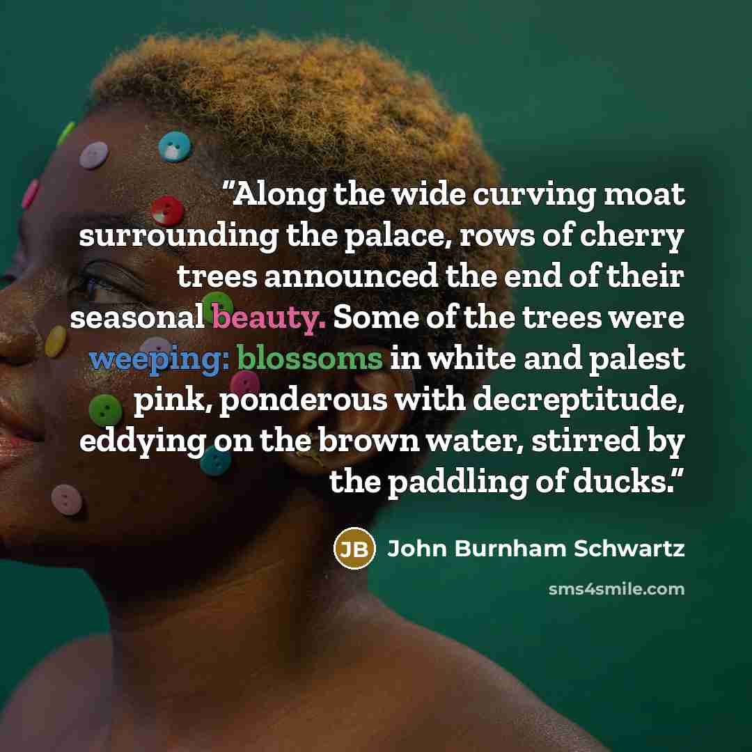 “Along the wide curving moat surrounding the palace, rows of cherry trees announced the end of their seasonal beauty. Some of the trees were weeping: blossoms in white and palest pink, ponderous with decreptitude, eddying on the brown water, stirred by the paddling of ducks.” quote by John Burnham Schwartz