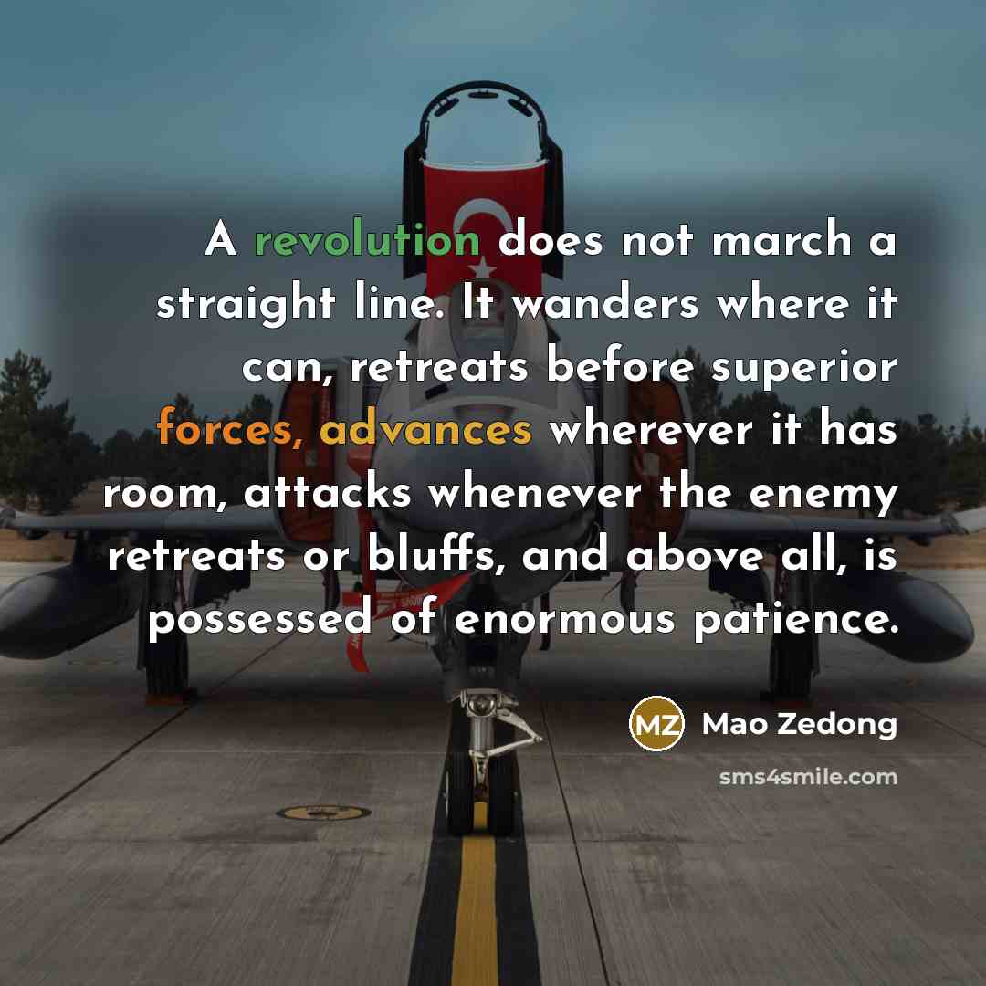 “A revolution does not march a straight line. It wanders where it can, retreats before superior forces, advances wherever it has room, attacks whenever the enemy retreats or bluffs, and above all, is possessed of enormous patience.” quote by Mao Zedong