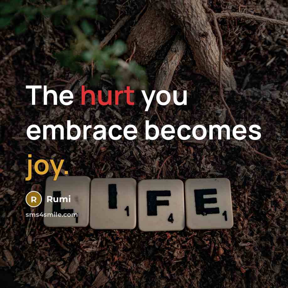 “The hurt you embrace becomes joy.” quote by Rumi