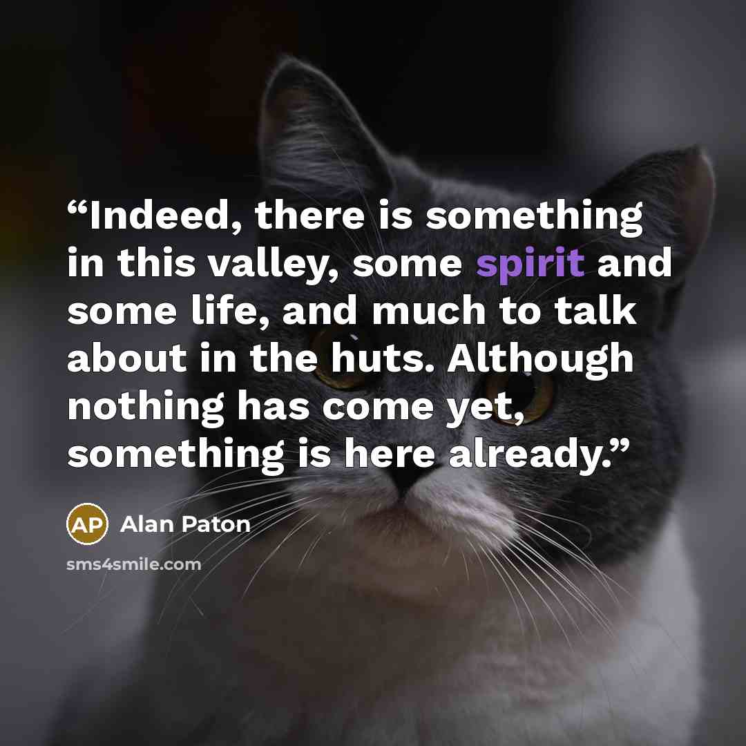 “Indeed, there is something in this valley, some spirit and some life, and much to talk about in the huts. Although nothing has come yet, something is here already.” quote by Alan Paton