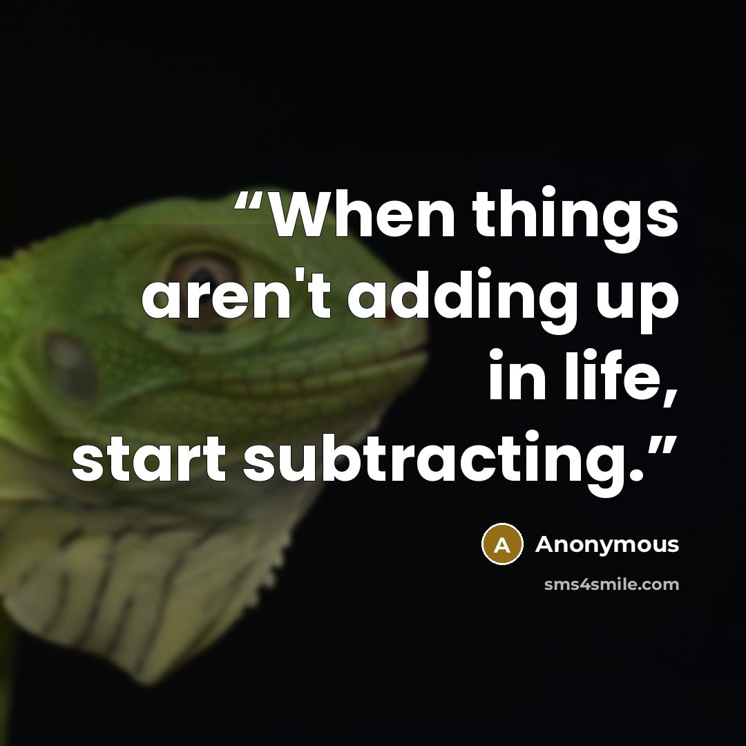 “When things aren't adding up in life, start subtracting.” quote by Anonymous