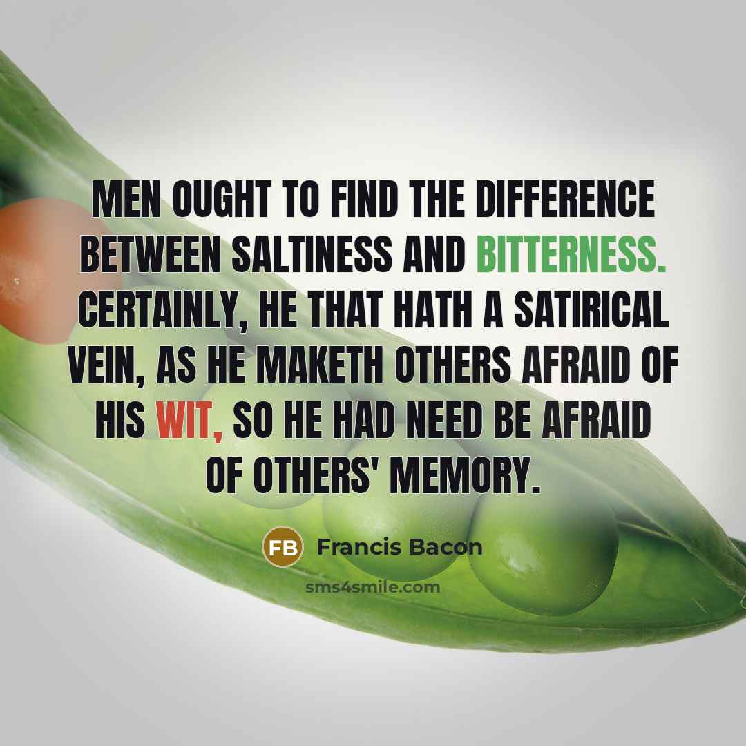 “Men ought to find the difference between saltiness and bitterness. Certainly, he that hath a satirical vein, as he maketh others afraid of his wit, so he had need be afraid of others' memory.” quote by Francis Bacon