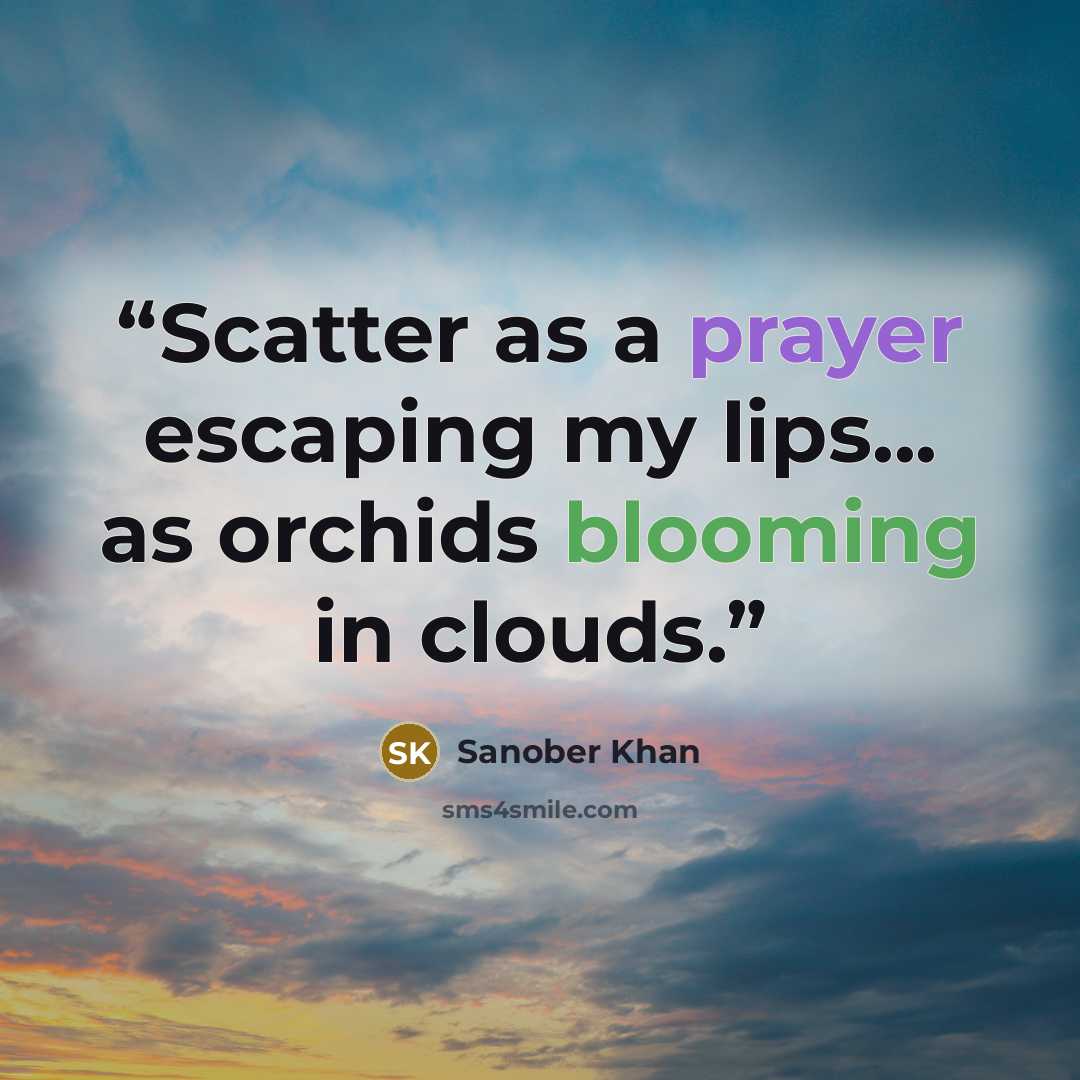 “Scatter as a prayer escaping my lips... as orchids blooming in clouds.” quote by Sanober Khan