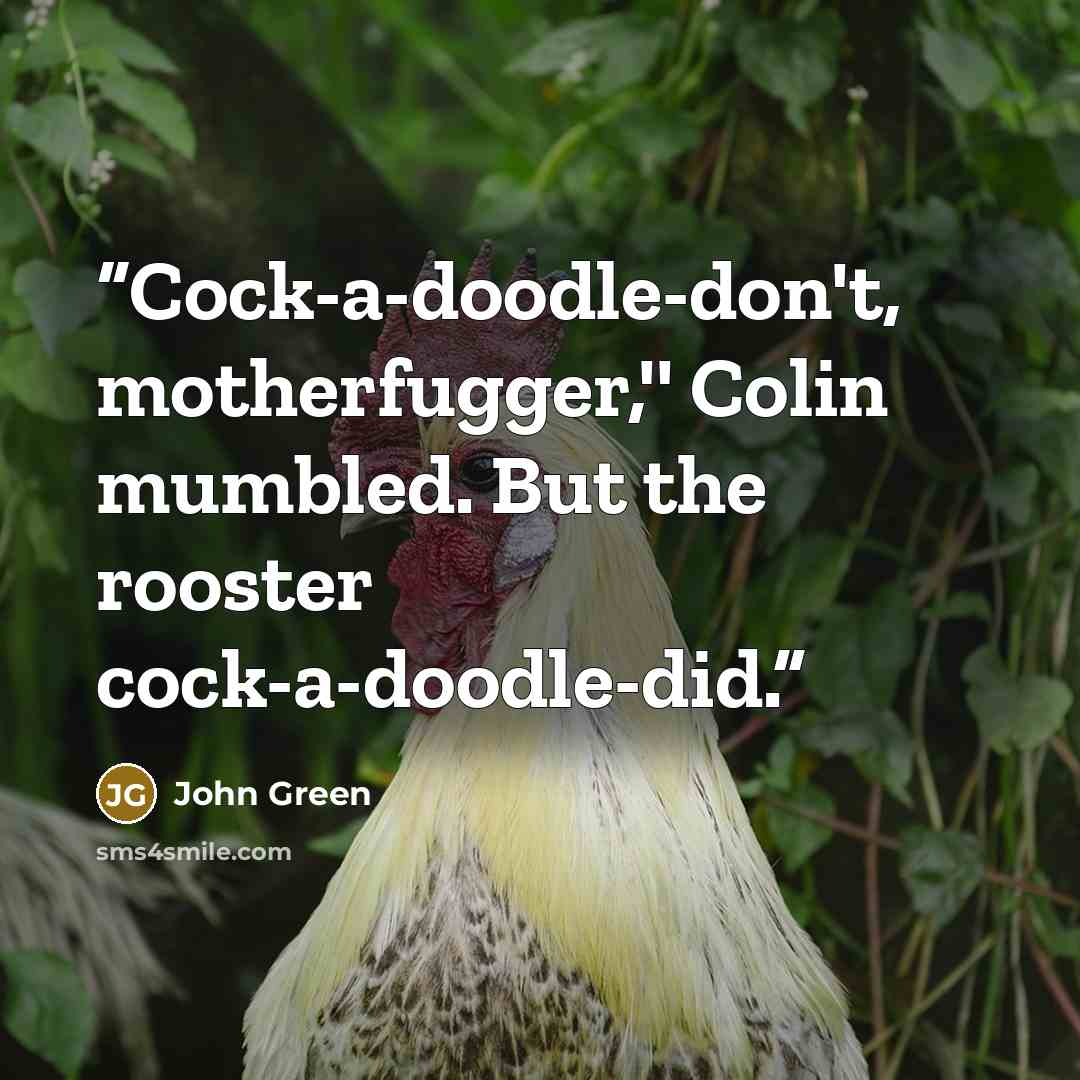 “Cock-a-doodle-don't, motherfugger,'' Colin mumbled. But the rooster cock-a-doodle-did.” quote by John Green