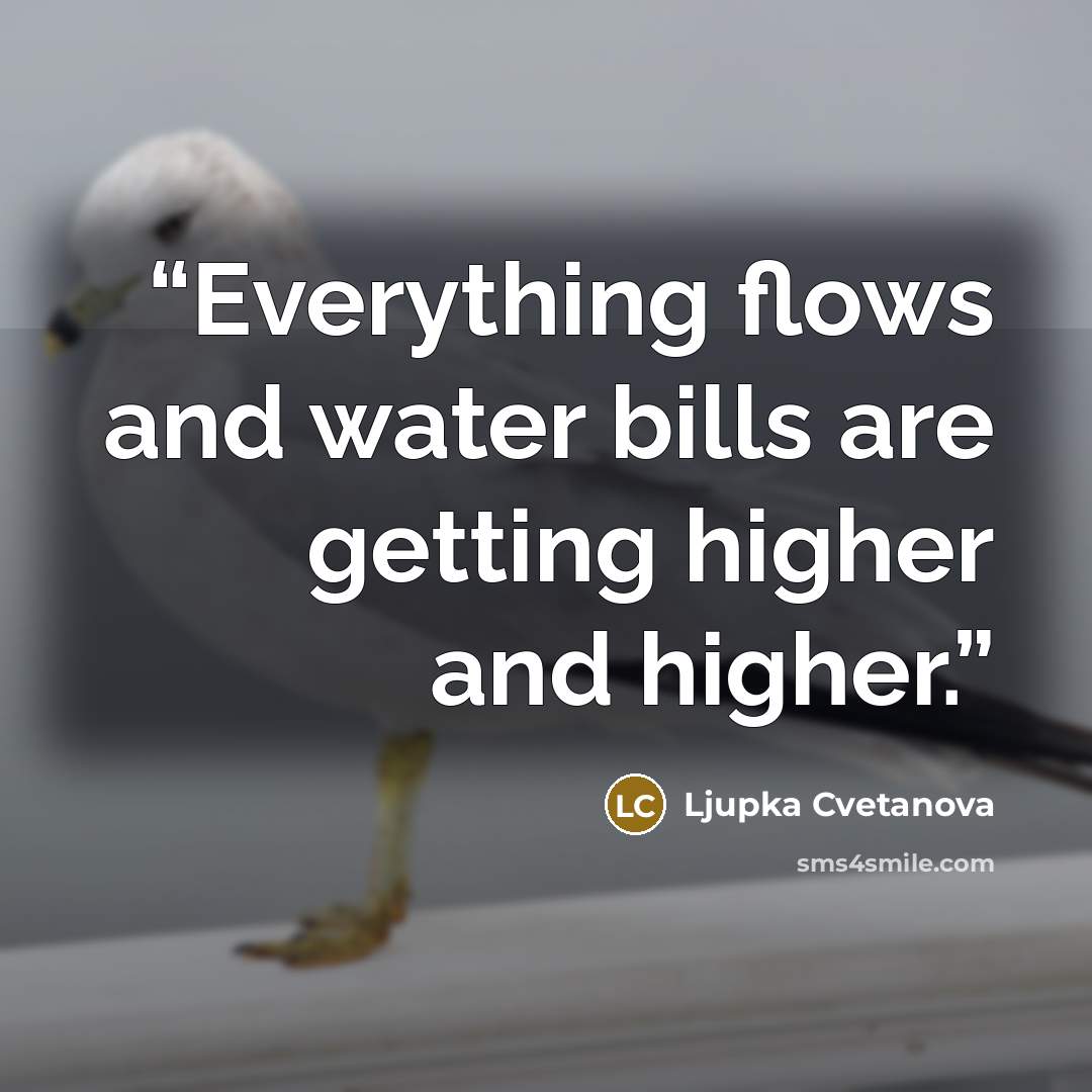 “Everything flows and water bills are getting higher and higher.” quote by Ljupka Cvetanova