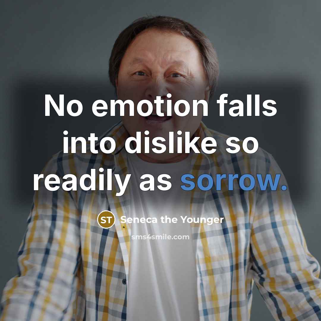 “No emotion falls into dislike so readily as sorrow.” quote by Seneca the Younger