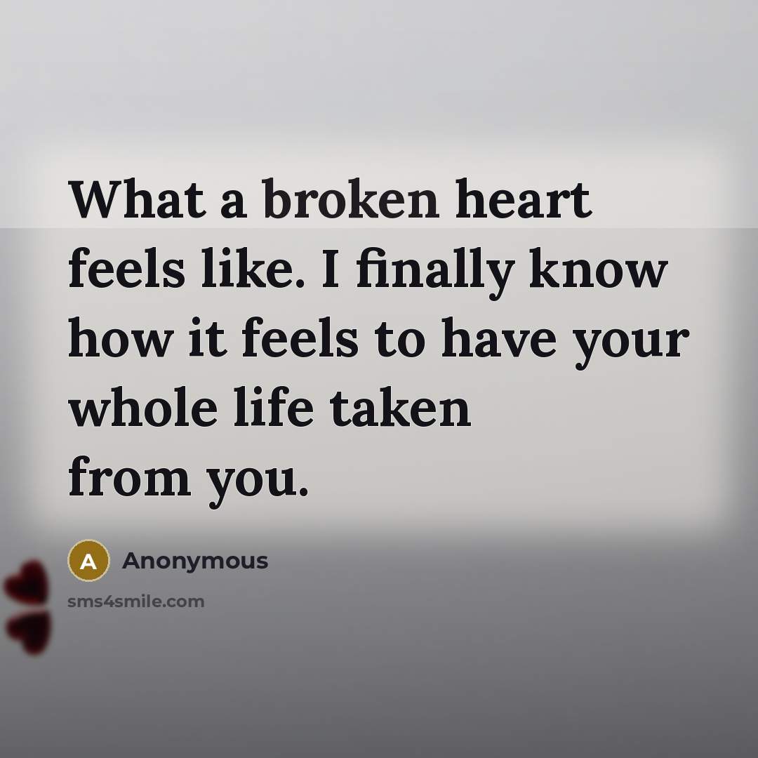 “What a broken heart feels like. I finally know how it feels to have your whole life taken from you.” quote by Anonymous