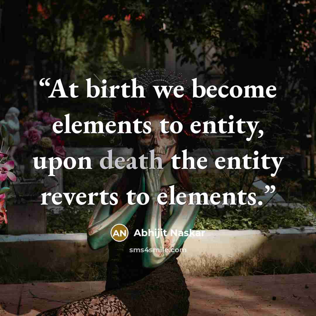 “At birth we become elements to entity, upon death the entity reverts to elements.” quote by Abhijit Naskar