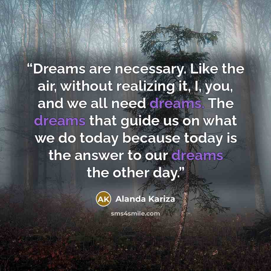 “Dreams are necessary. Like the air, without realizing it, I, you, and we all need dreams. The dreams that guide us on what we do today because today is the answer to our dreams the other day.” quote by Alanda Kariza