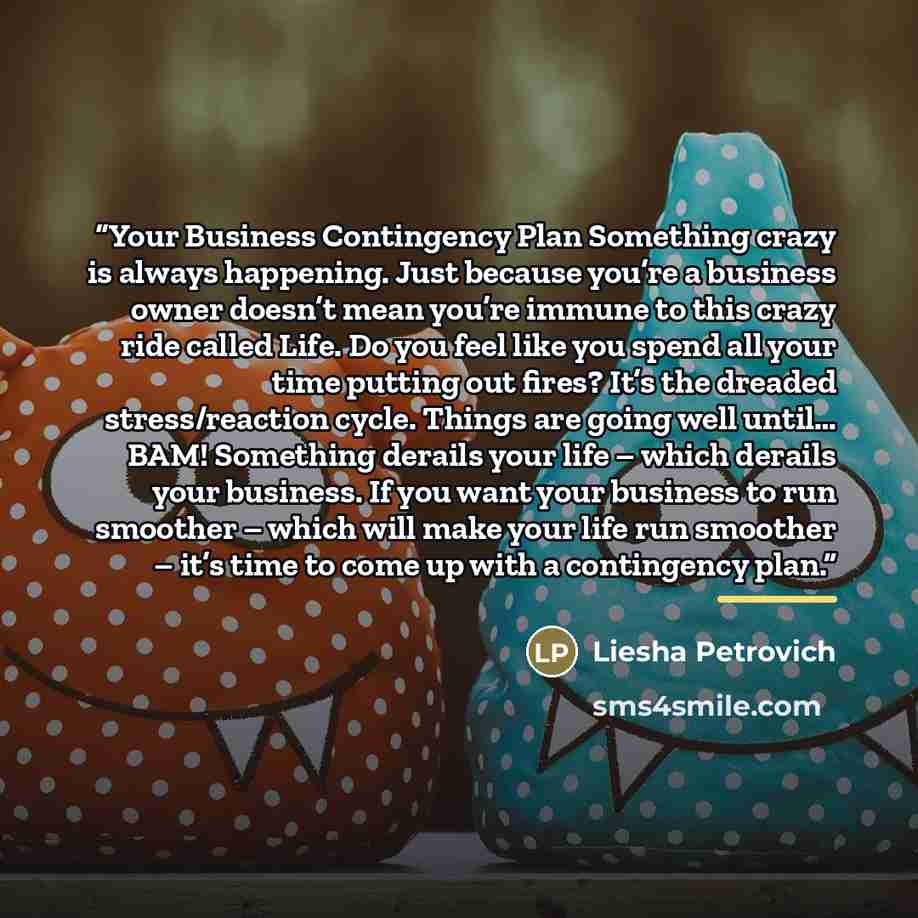 “Your Business Contingency Plan Something crazy is always happening. Just because you’re a business owner doesn’t mean you’re immune to this crazy ride called Life. Do you feel like you spend all your time putting out fires? It’s the dreaded stress/reaction cycle. Things are going well until… BAM!…” quote by Liesha Petrovich