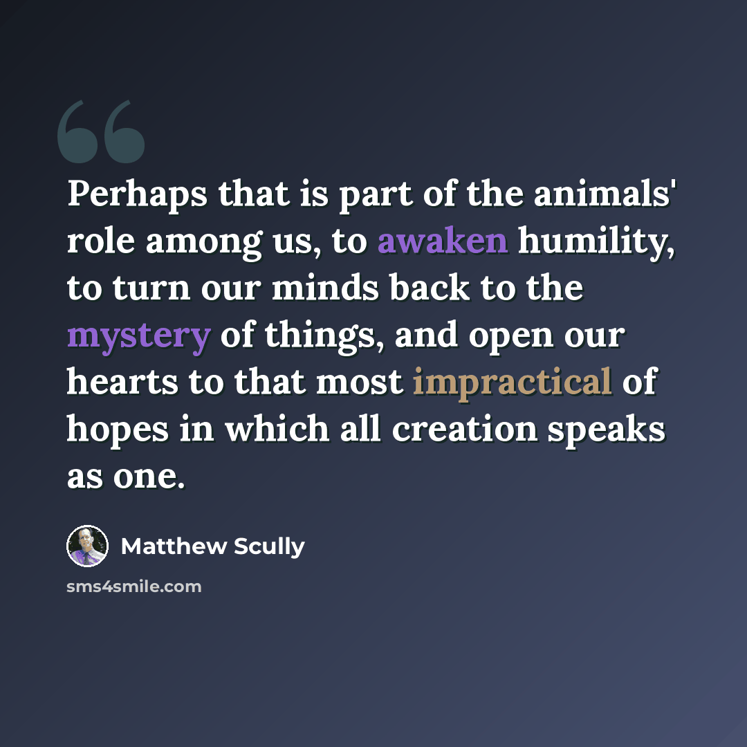 “Perhaps that is part of the animals' role among us, to awaken humility, to turn our minds back to the mystery of things, and open our hearts to that most impractical of hopes in which all creation speaks as one.” quote by Matthew Scully