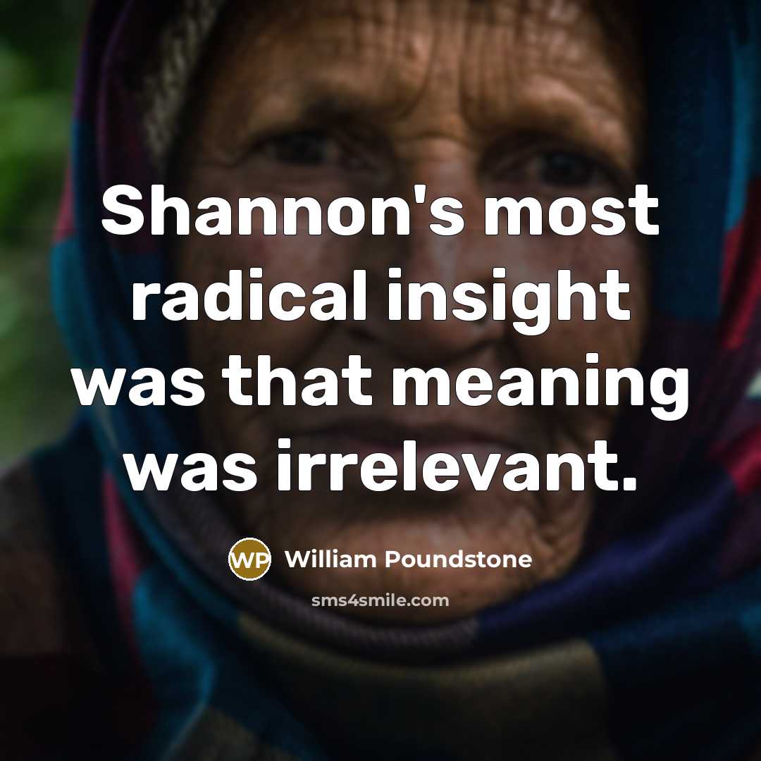 “Shannon's most radical insight was that meaning was irrelevant.” quote by William Poundstone