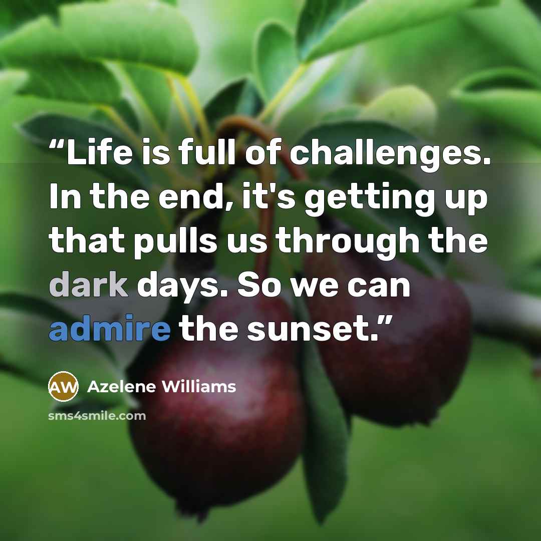 “Life is full of challenges. In the end, it's getting up that pulls us through the dark days. So we can admire the sunset.” quote by Azelene Williams