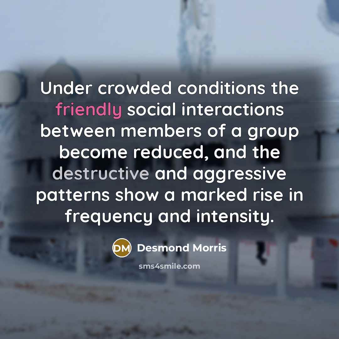 “Under crowded conditions the friendly social interactions between members of a group become reduced, and the destructive and aggressive patterns show a marked rise in frequency and intensity.” quote by Desmond Morris