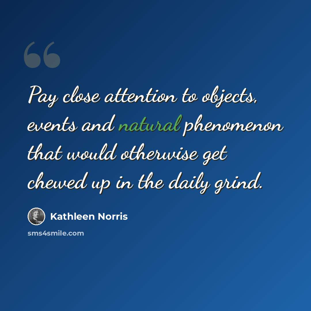 “Pay close attention to objects, events and natural phenomenon that would otherwise get chewed up in the daily grind.” quote by Kathleen Norris